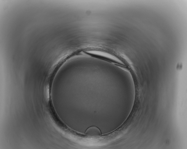 X0000093740020200710231221