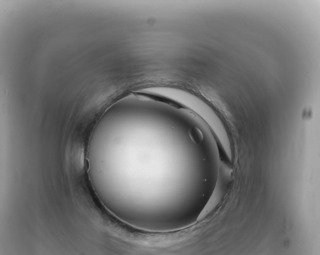 X0000093740021200710231221