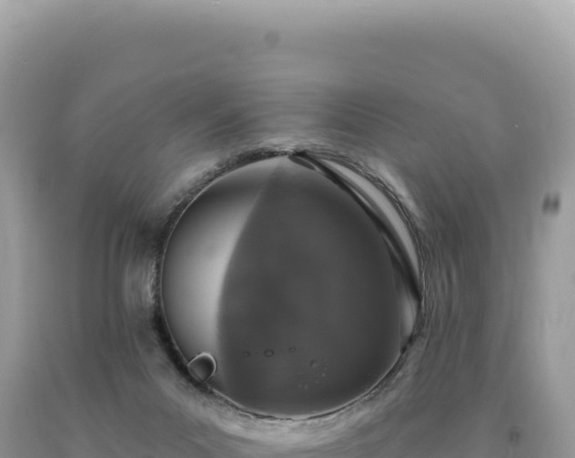 X0000093740023200710231221