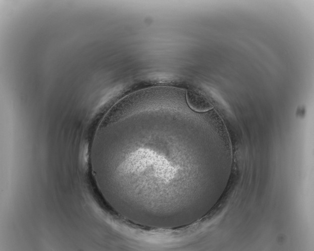 X0000093740024200710231220