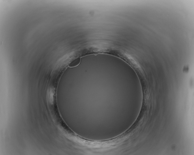 X0000093740026200710231220