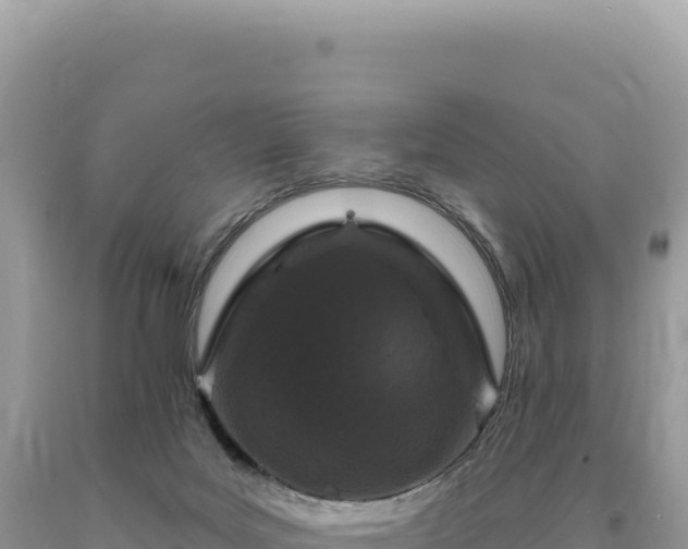 X0000093740027200710231220