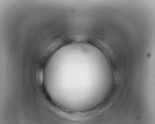 X0000093740028200710231220