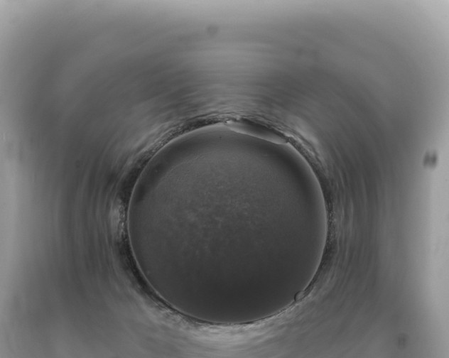 X0000093740029200710231220