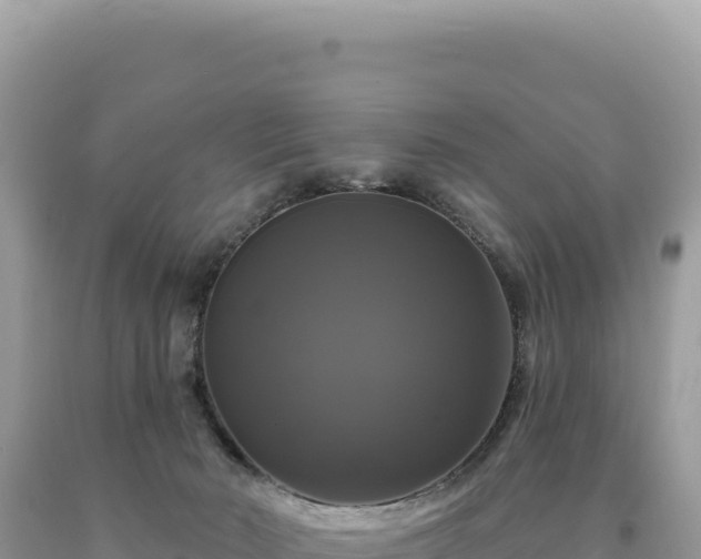 X0000093740030200710231220