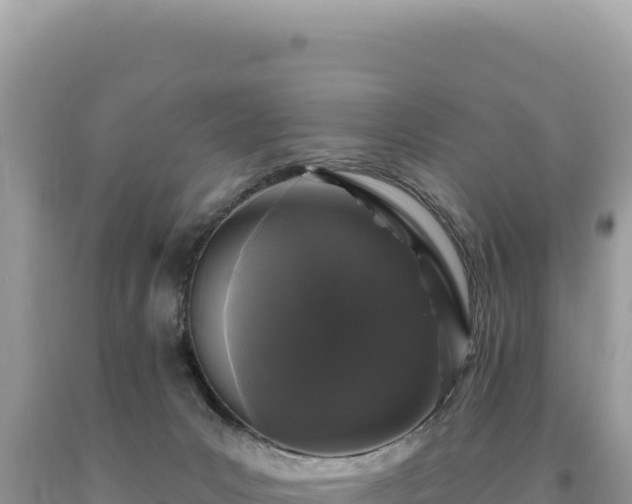 X0000093740031200710231220