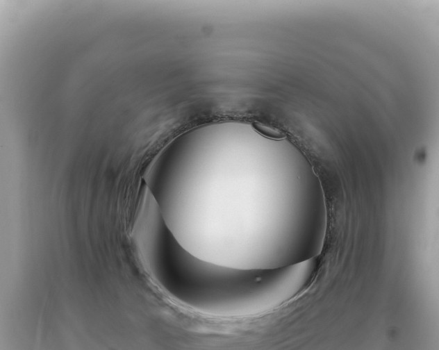 X0000093740033200710231220