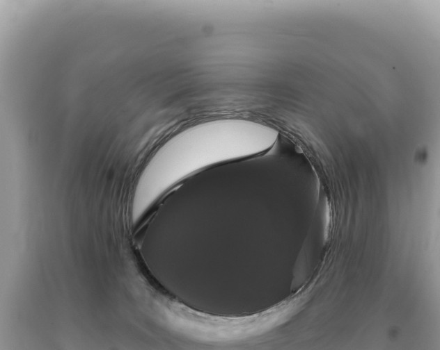 X0000093740035200710231220