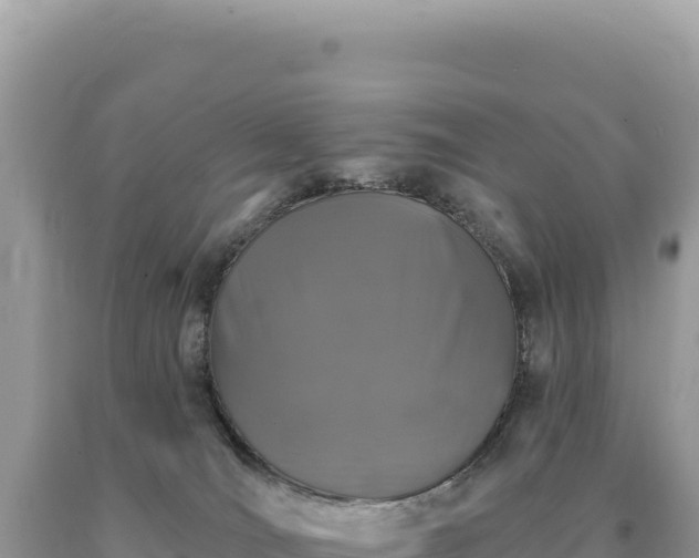 X0000093740036200710231220