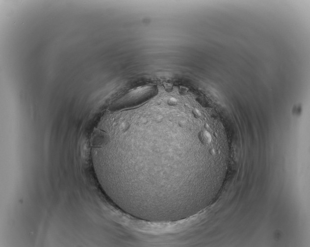 X0000093740037200710231220