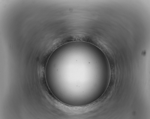 X0000093740038200710231220