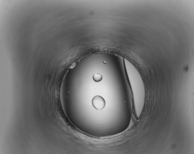 X0000093740039200710231220