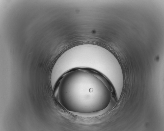 X0000093740041200710231220