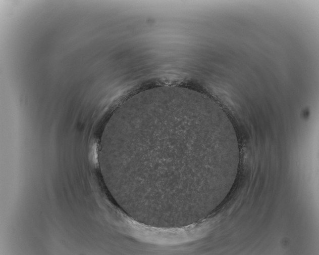 X0000093740042200710231220