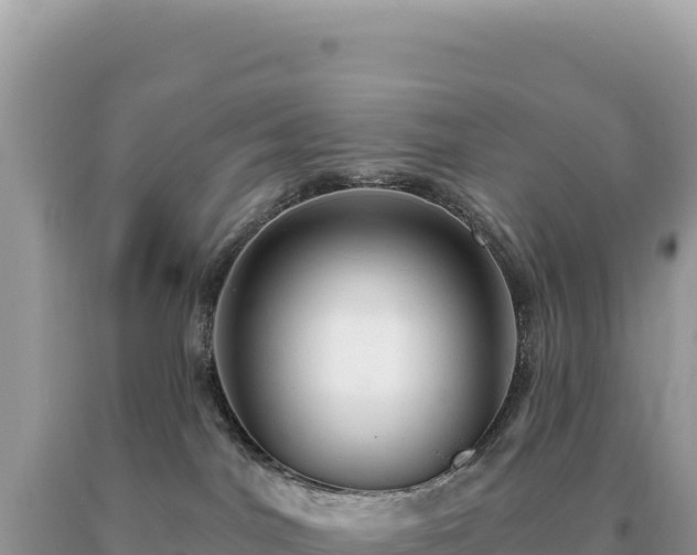 X0000093740044200710231220