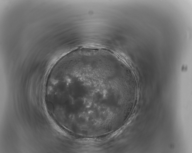 X0000093740049200710231219