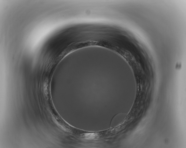 X0000093740050200710231219