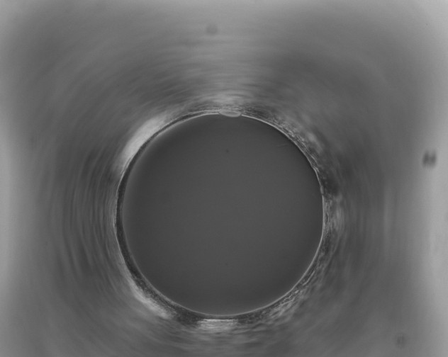 X0000093740051200710231219