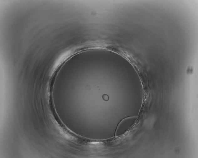 X0000093740053200710231220