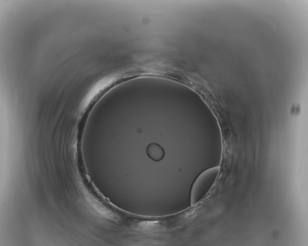 X0000093740054200710231220