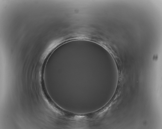 X0000093740055200710231220