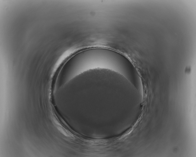 X0000093740056200710231220