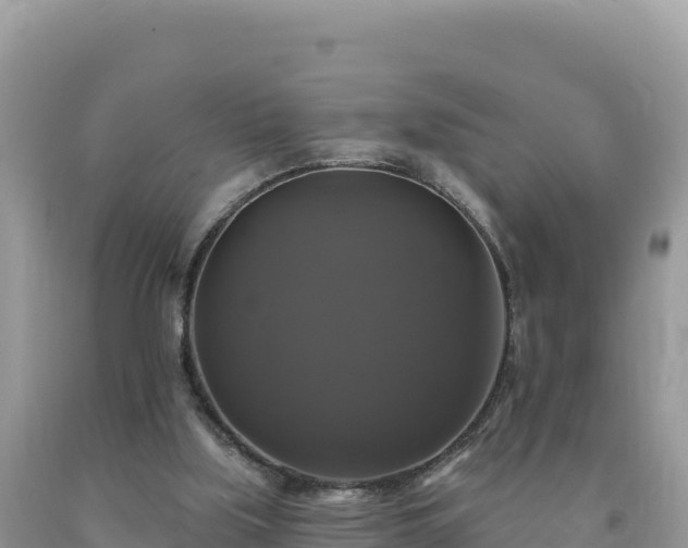 X0000093740059200710231220