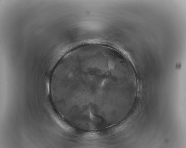 X0000093740061200710231220