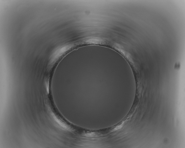 X0000093740062200710231220