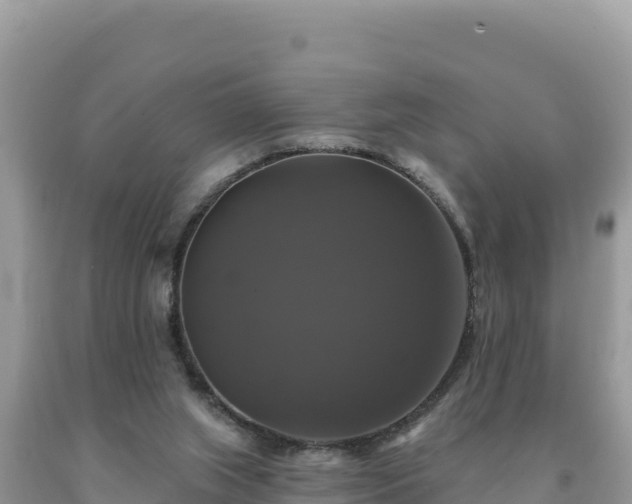 X0000093740063200710231220