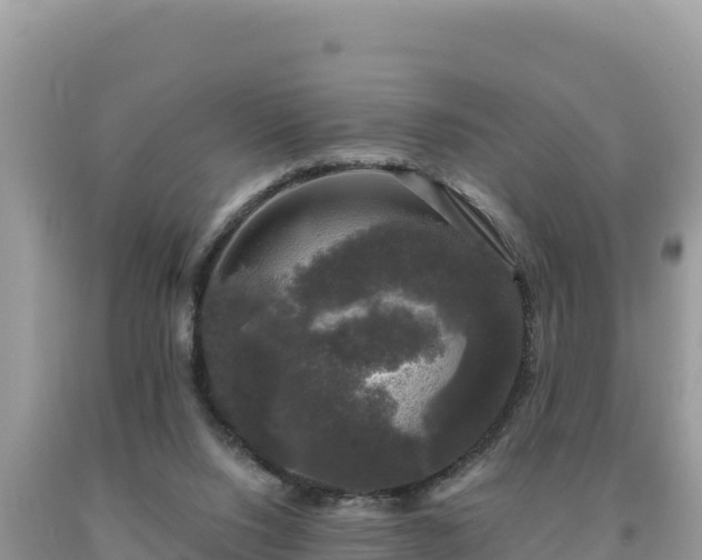 X0000093740064200710231220