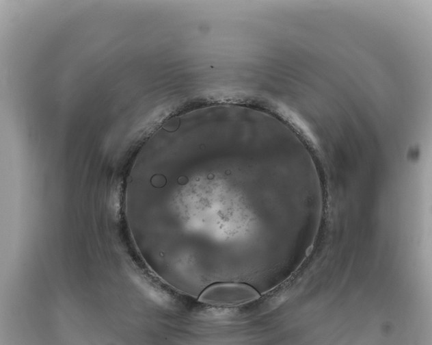 X0000093740065200710231220