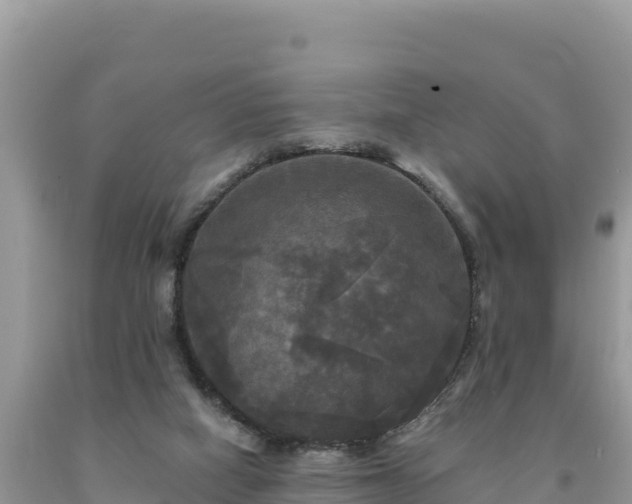 X0000093740066200710231220