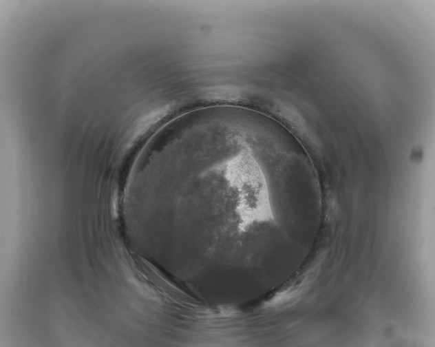 X0000093740068200710231220