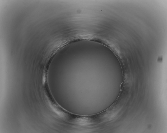 X0000093740069200710231220