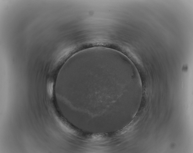 X0000093740070200710231220