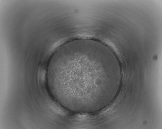 X0000093740071200710231220