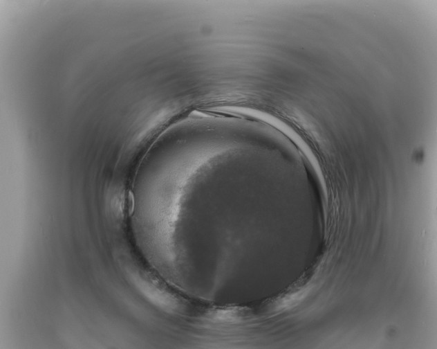 X0000093740072200710231220