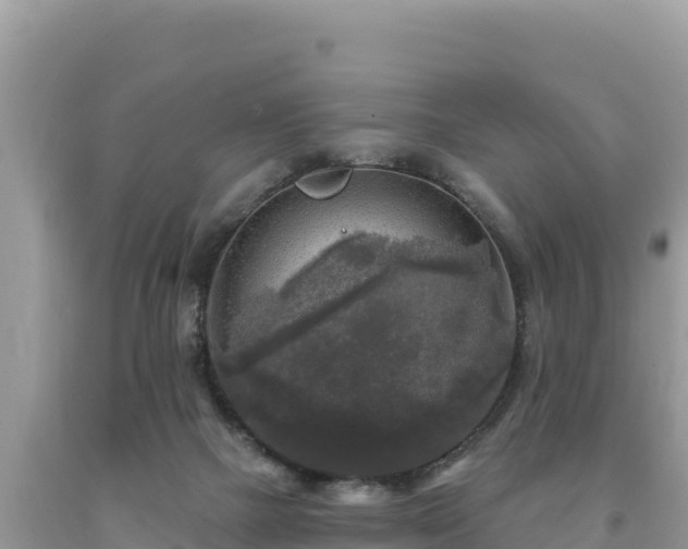 X0000093740073200710231220