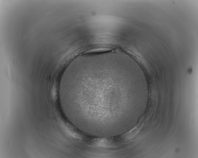 X0000093740074200710231220