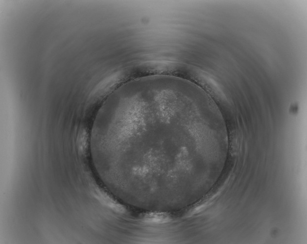 X0000093740077200710231220