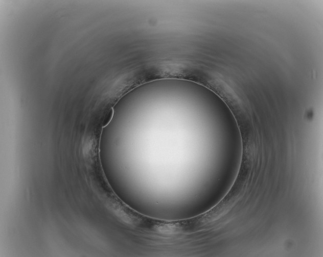 X0000093740079200710231220