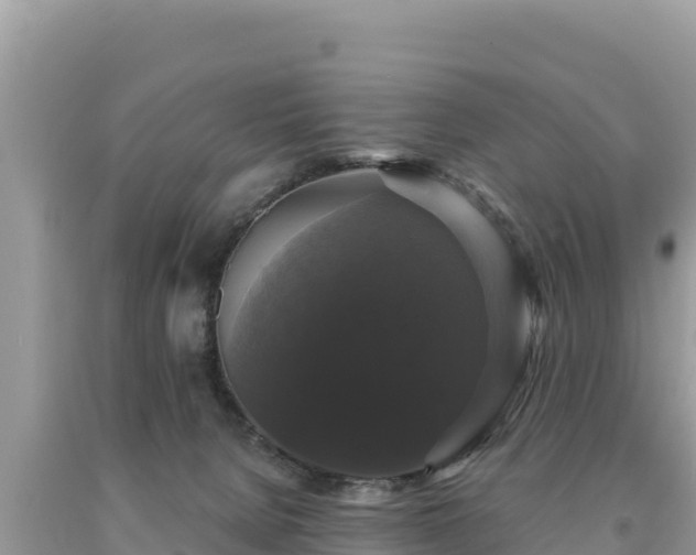 X0000093740080200710231220