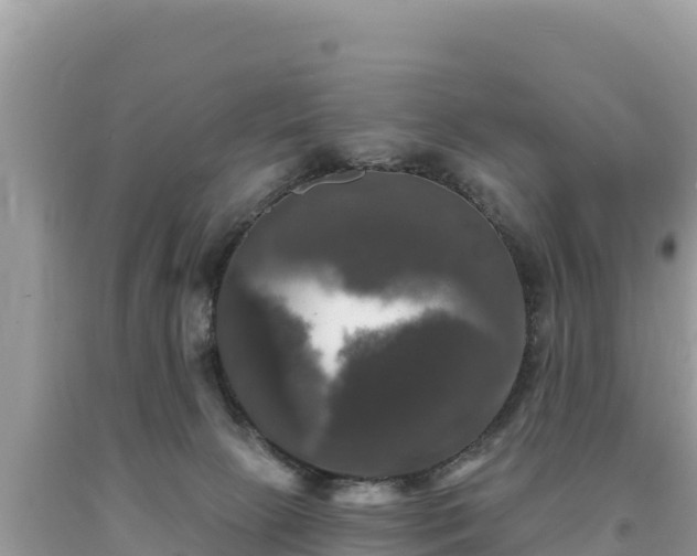 X0000093740081200710231220