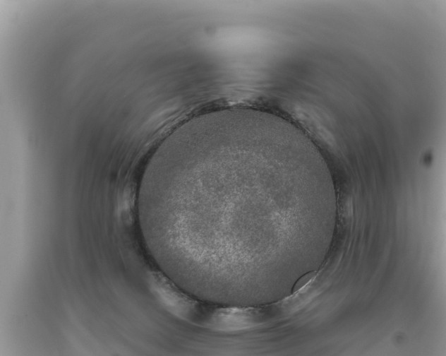 X0000093740082200710231220