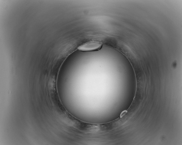 X0000093740083200710231220