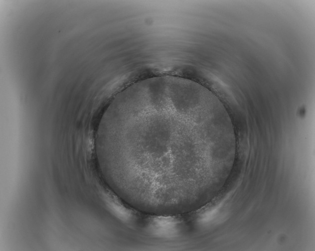 X0000093740085200710231220