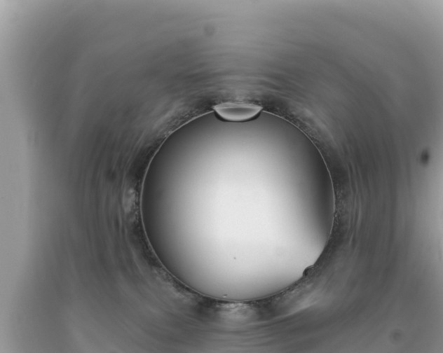 X0000093740087200710231220