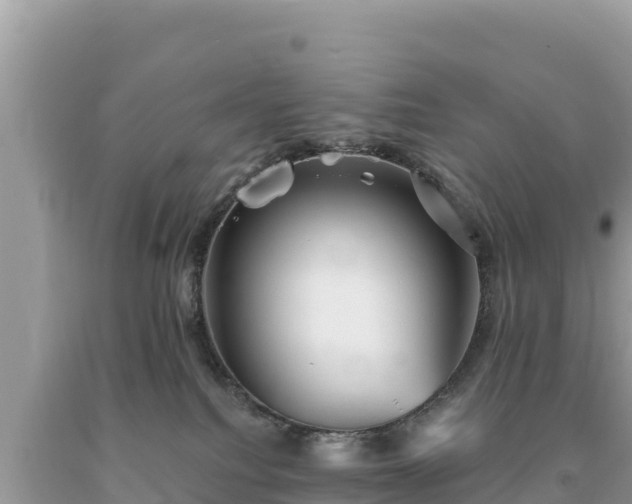 X0000093740088200710231220