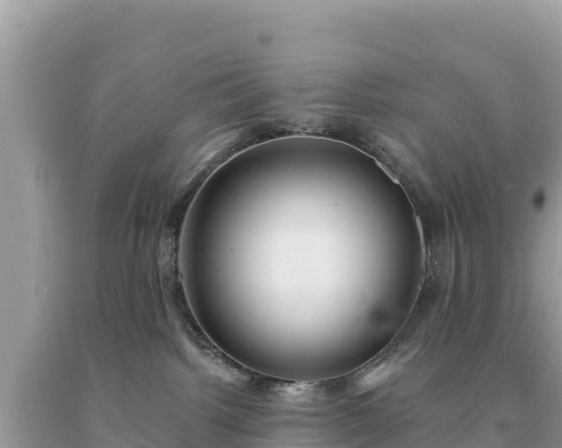 X0000093740092200710231220